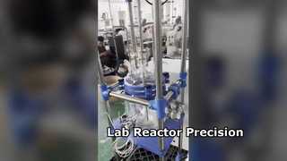 เครื่องปฏิกรณ์แก้วสำหรับ Pharma Lab Precision